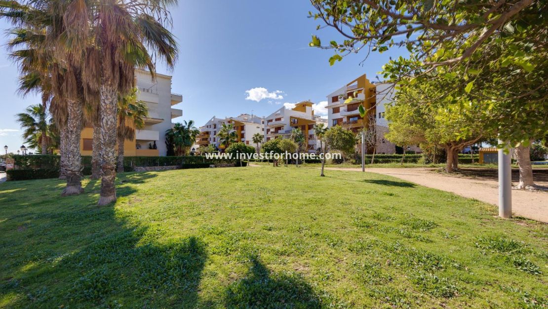 Verkoop - Appartement - Torrevieja - Punta prima