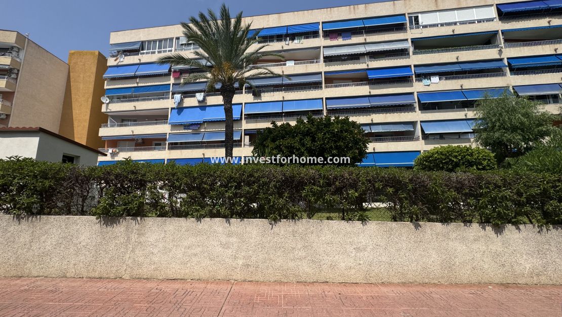 Verkoop - Appartement - Torrevieja - Rocio Del Mar