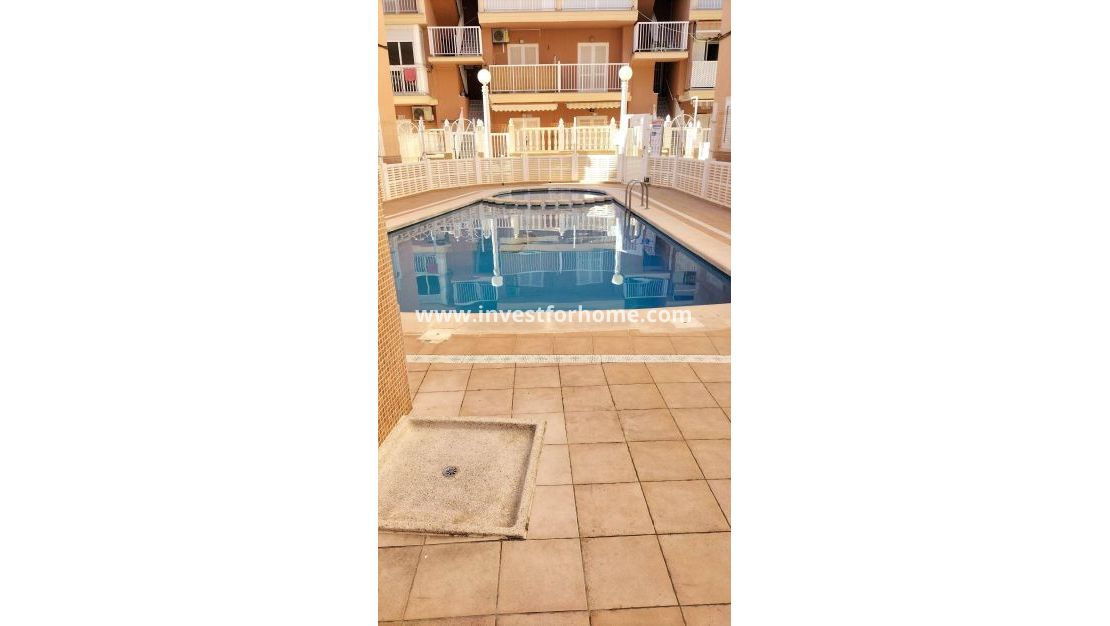 Verkoop - Appartement - Torrevieja - Torrelamata - La Mata