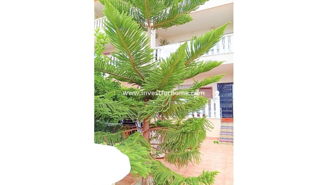 Verkoop - Bungalow - Orihuela Costa - Lomas De Cabo Roig-los Dolses