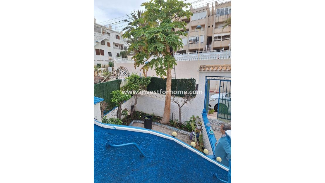 Verkoop - Bungalow - Torrevieja - Cabo Cervera