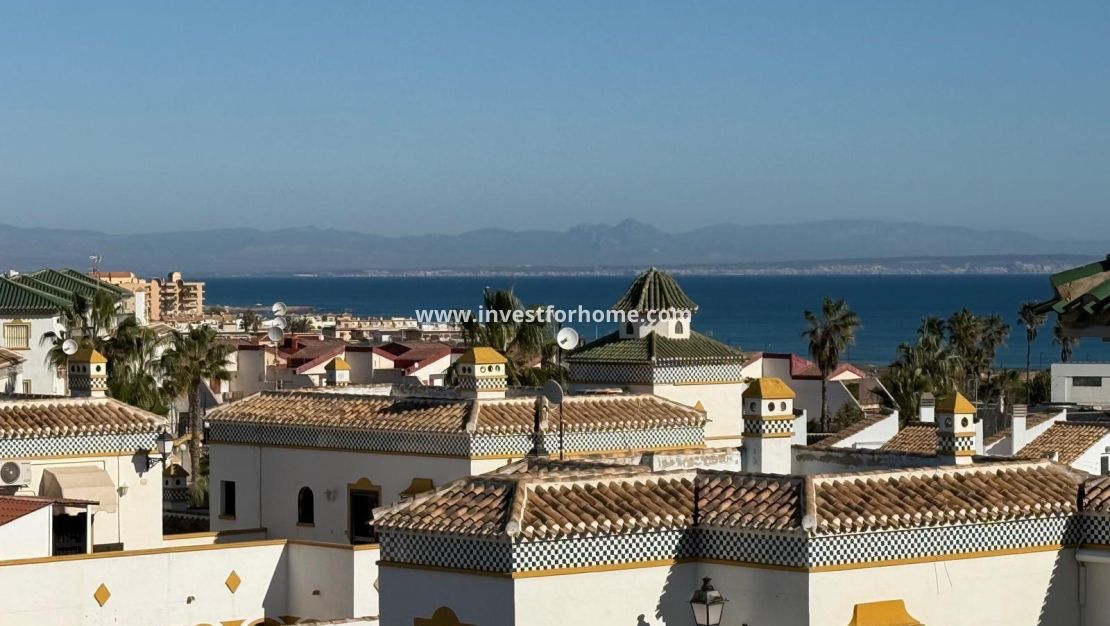 Verkoop - Bungalow - Torrevieja - Cañada Del Molino