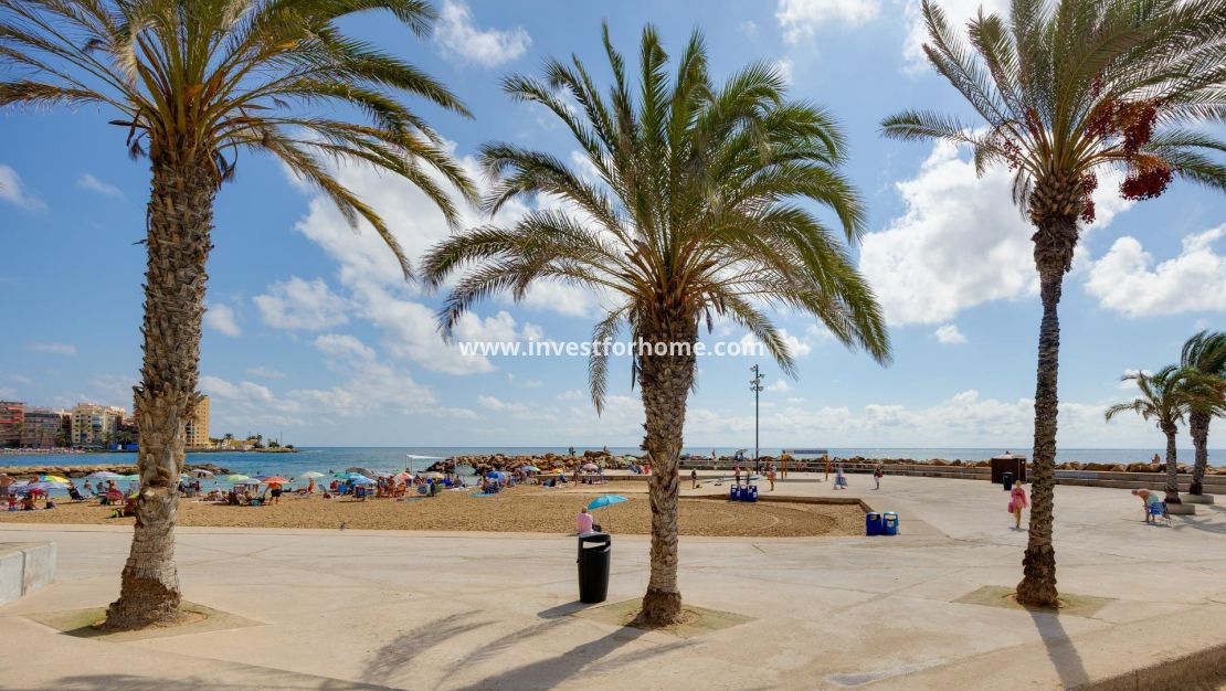 Verkoop - Bungalow - Torrevieja - Nueva Torrevieja - Aguas Nuevas