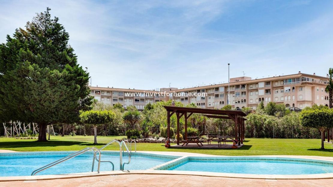 Verkoop - Bungalow - Torrevieja - PARQUE DE LAS NACIONES