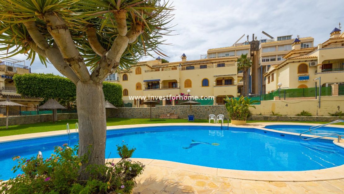 Verkoop - Bungalow - Torrevieja - Torrelamata - La Mata