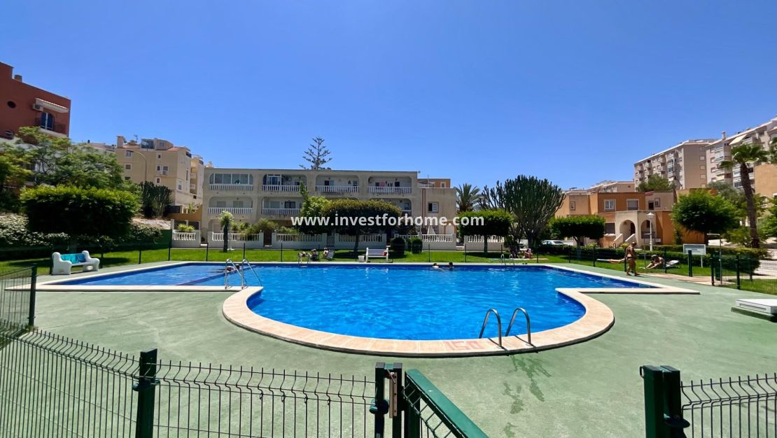 Verkoop - Bungalow - Torrevieja - Torrelamata - La Mata