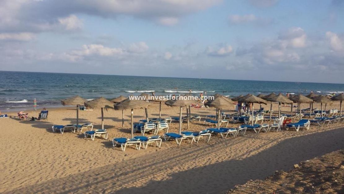 Verkoop - Bungalow - Torrevieja - Torrelamata - La Mata