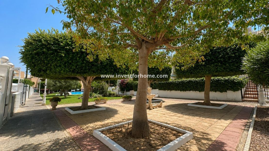 Verkoop - Bungalow - Torrevieja - Torrelamata - La Mata