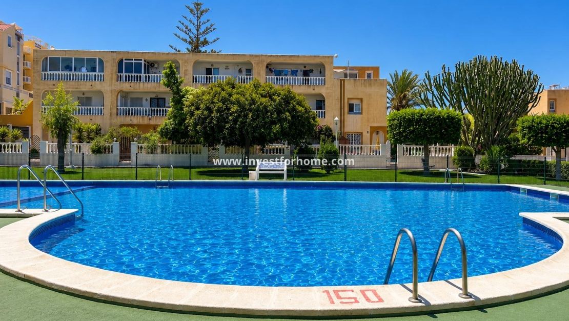 Verkoop - Bungalow - Torrevieja - Torrelamata - La Mata