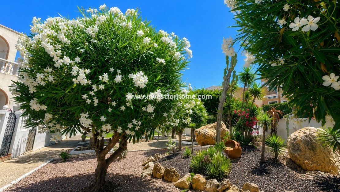 Verkoop - Bungalow - Torrevieja - Torrelamata - La Mata