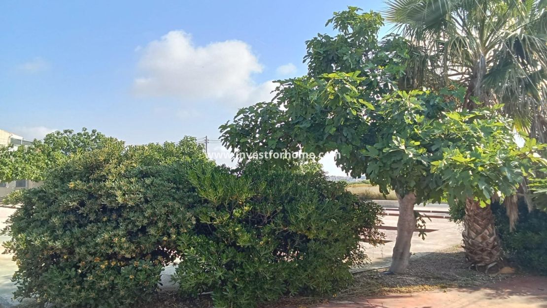 Verkoop - Bungalow - Torrevieja - Torreta Florida