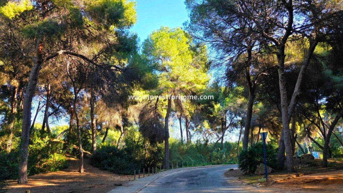 Verkoop - Huis - Orihuela Costa - Altos De Campoamor