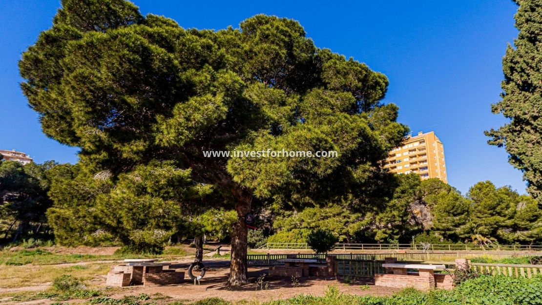 Verkoop - Huis - Orihuela Costa - Costa Blanca