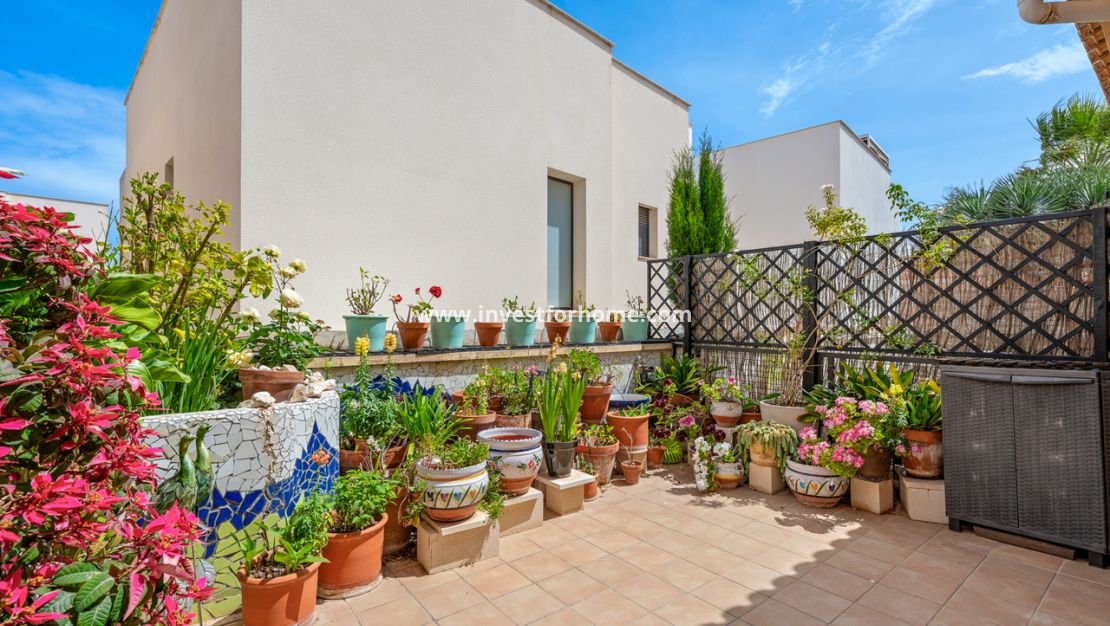 Verkoop - Huis - San Miguel de Salinas - Inland