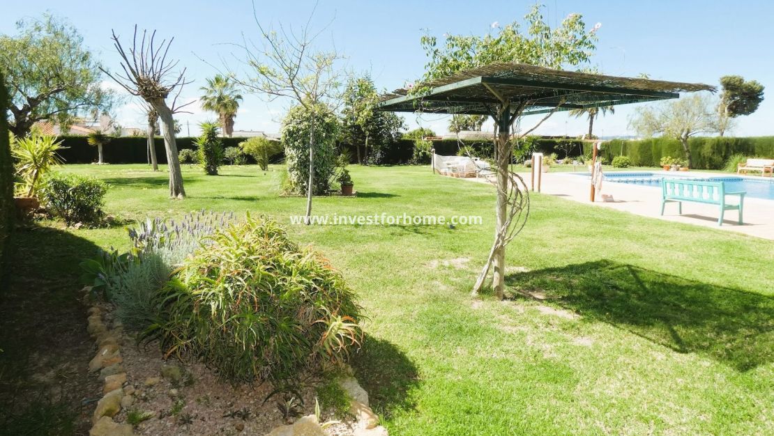 Verkoop - Huis - Torrevieja - Costa Blanca