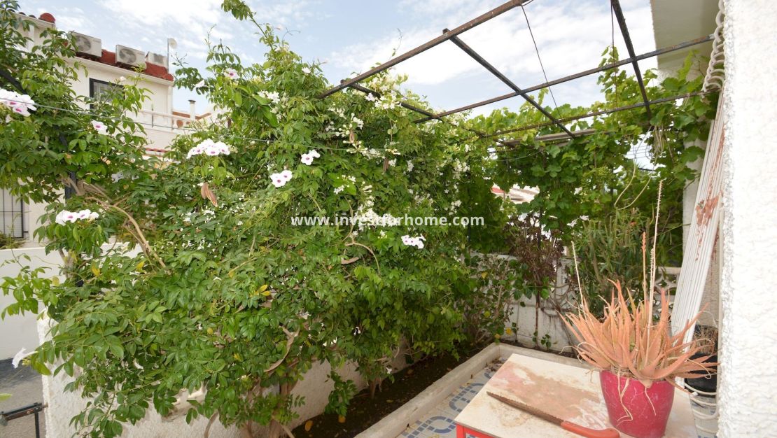 Verkoop - Huis - Torrevieja - Costa Blanca