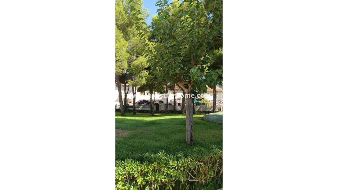 Verkoop - Huis - Torrevieja - Los Balcones