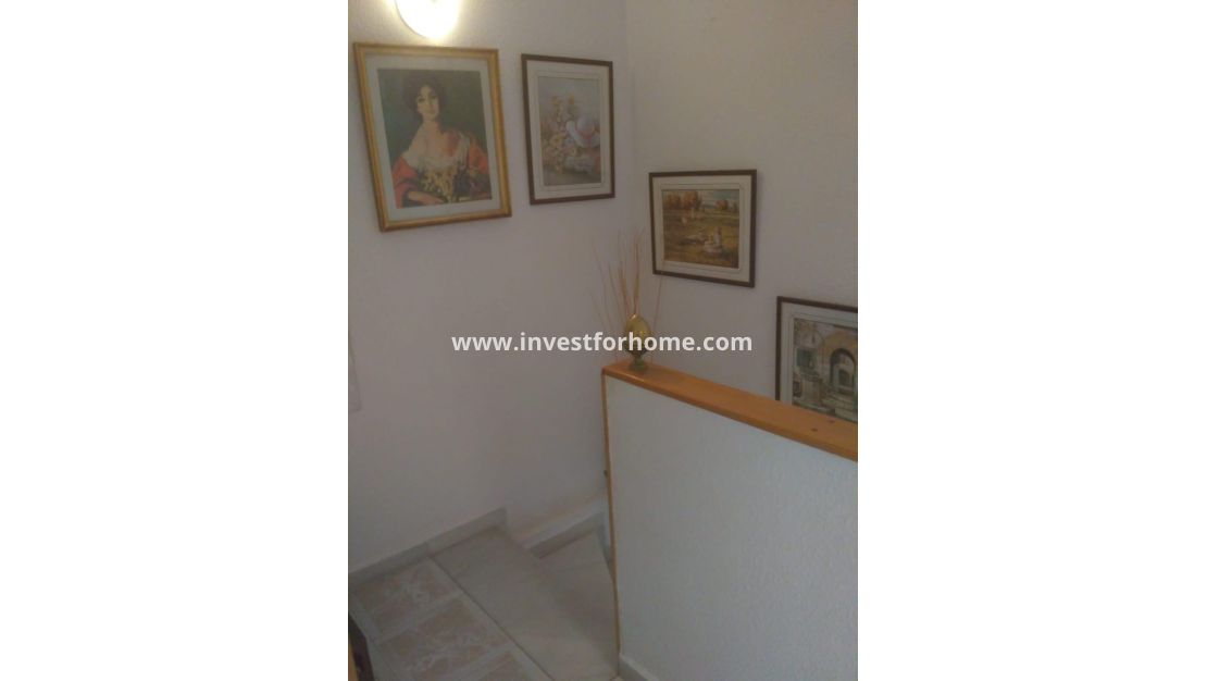 Verkoop - Huis - Torrevieja - Los Europeos