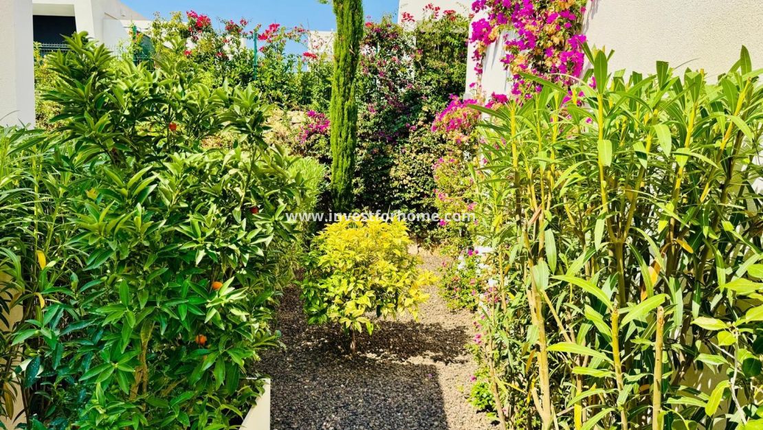 Verkoop - Villa - Algorfa - Club De Golf La Finca