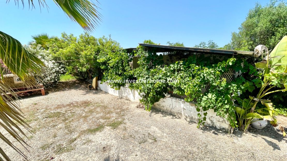 Verkoop - Villa - Daya Nueva - Costa Blanca
