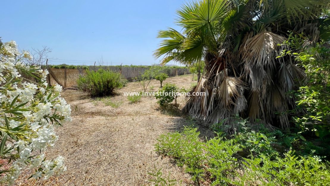 Verkoop - Villa - Daya Nueva - Costa Blanca