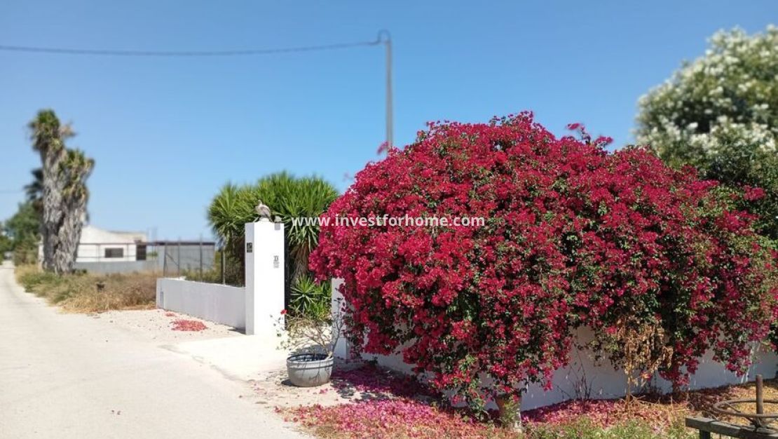 Verkoop - Villa - Daya Nueva - Costa Blanca