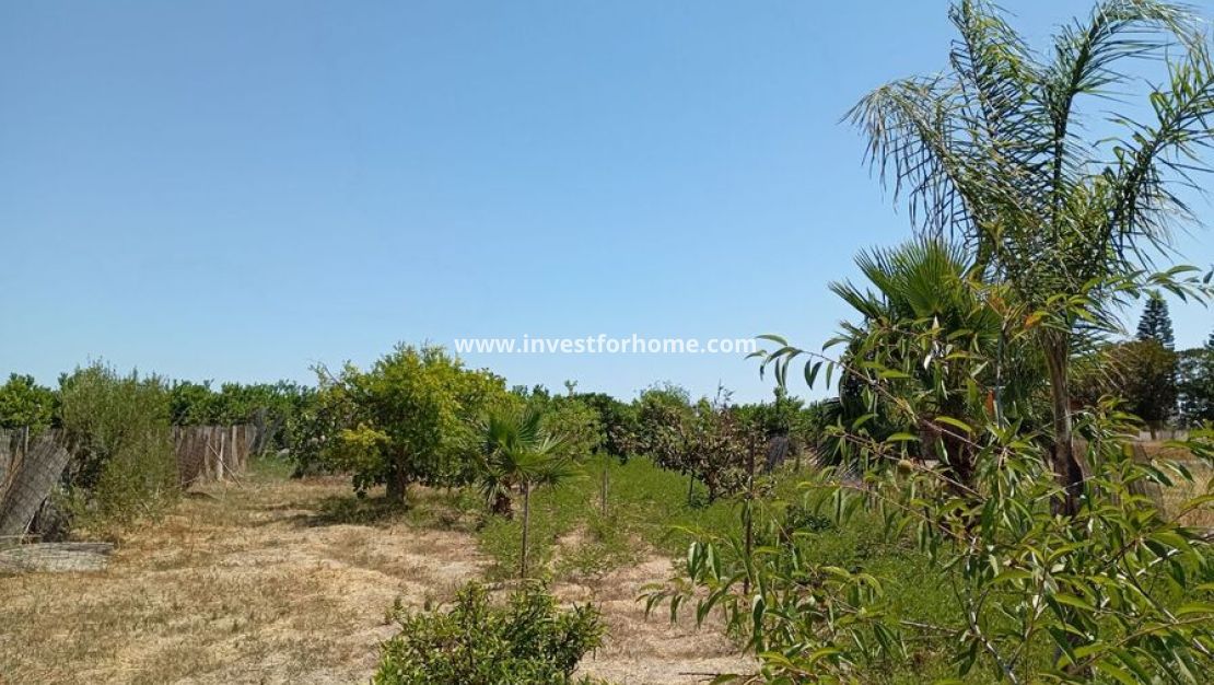 Verkoop - Villa - Daya Nueva - Costa Blanca