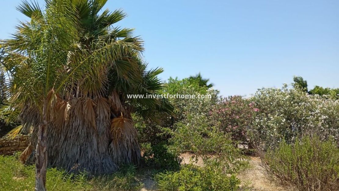 Verkoop - Villa - Daya Nueva - Costa Blanca