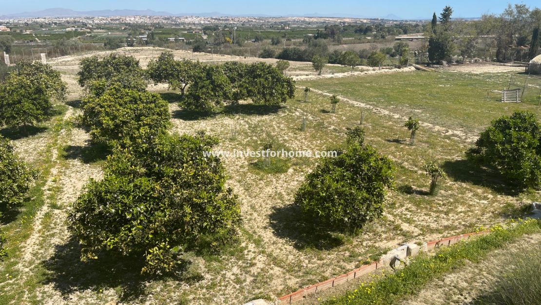 Verkoop - Villa - Guardamar del Segura - Costa Blanca