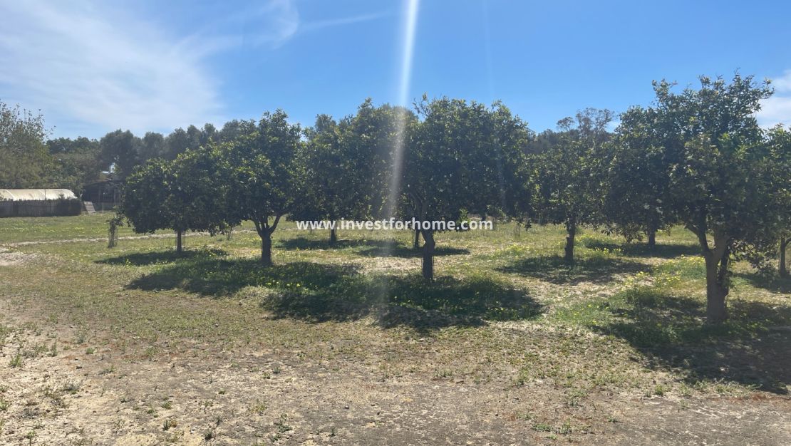 Verkoop - Villa - Guardamar del Segura - Costa Blanca