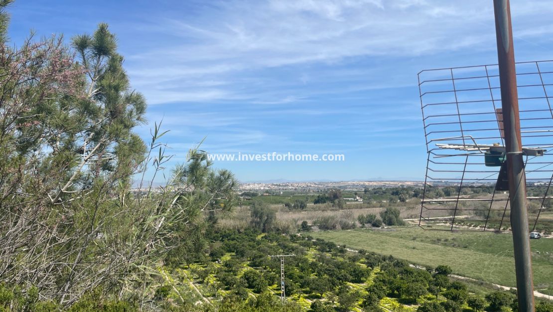 Verkoop - Villa - Guardamar del Segura - Costa Blanca