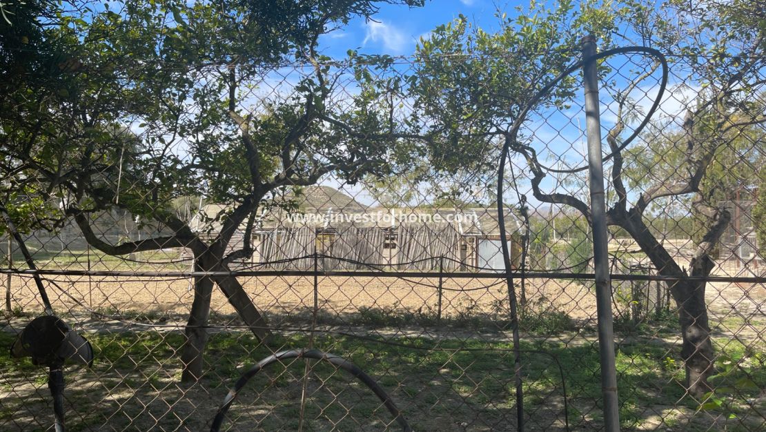 Verkoop - Villa - Guardamar del Segura - Costa Blanca