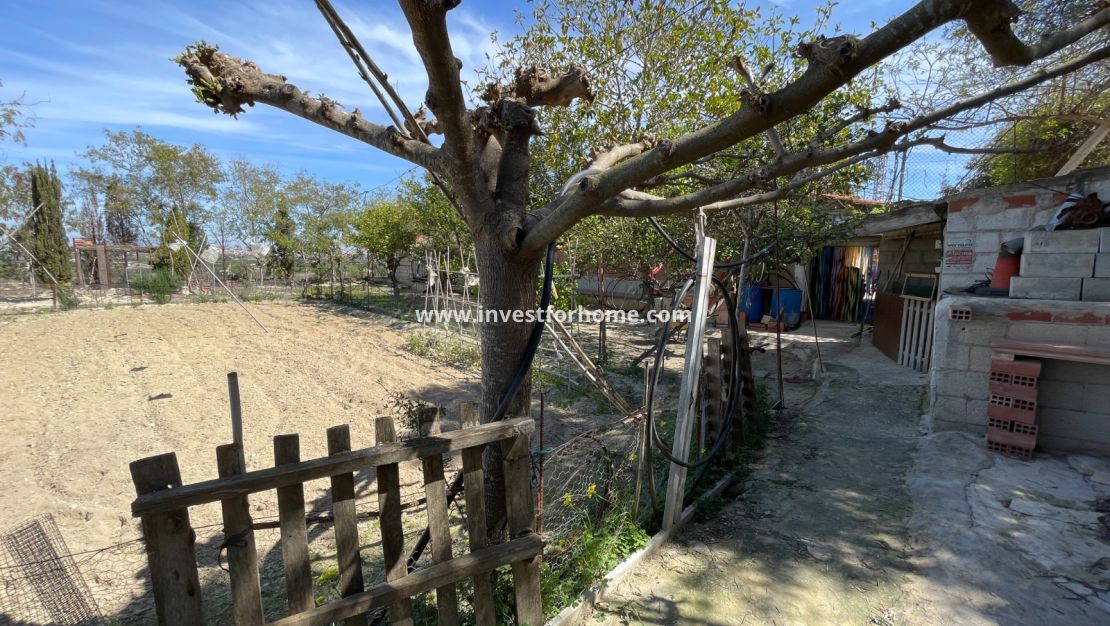 Verkoop - Villa - Guardamar del Segura - Costa Blanca