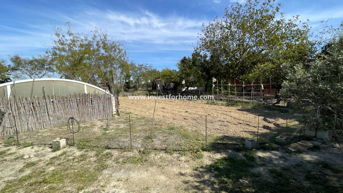 Verkoop - Villa - Guardamar del Segura - Costa Blanca