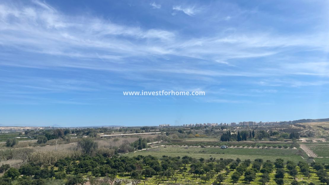 Verkoop - Villa - Guardamar del Segura - Costa Blanca