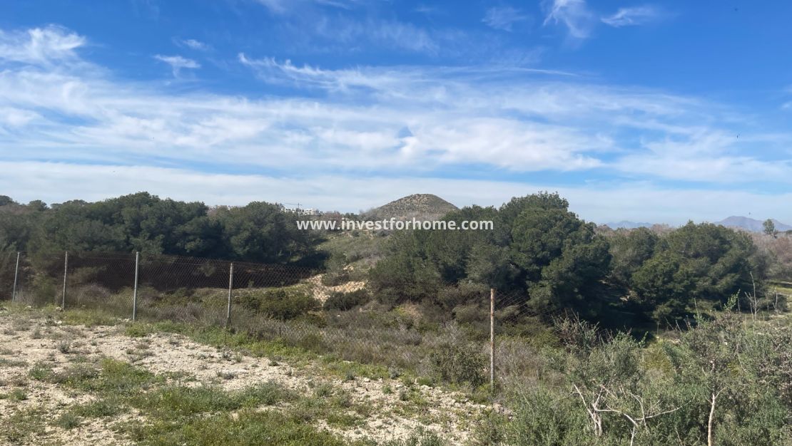 Verkoop - Villa - Guardamar del Segura - Costa Blanca