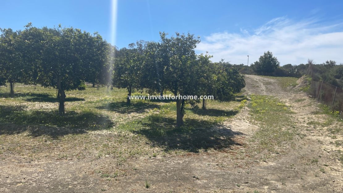 Verkoop - Villa - Guardamar del Segura - Costa Blanca