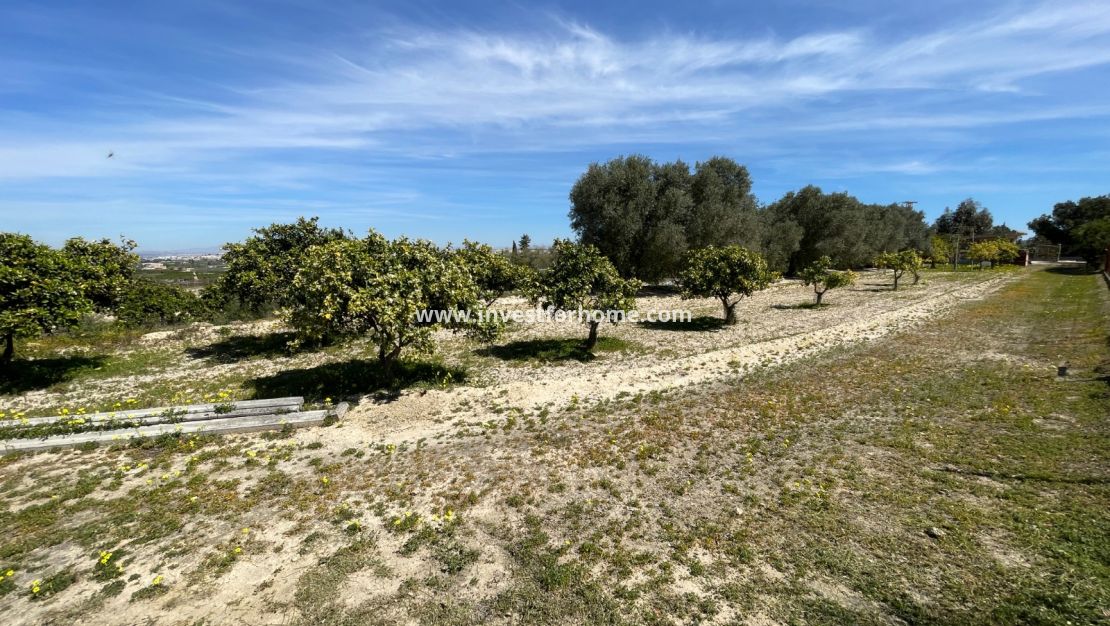 Verkoop - Villa - Guardamar del Segura - Costa Blanca