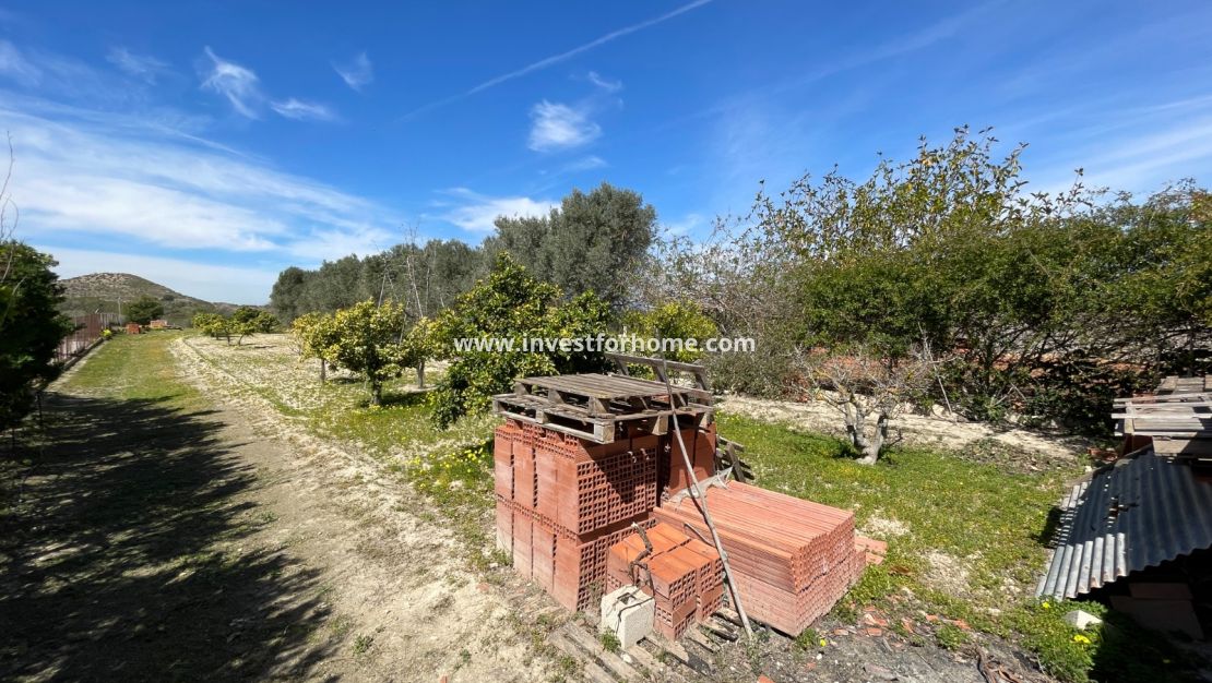 Verkoop - Villa - Guardamar del Segura - Costa Blanca