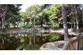 Verkoop - Villa - Guardamar del Segura - El Moncayo