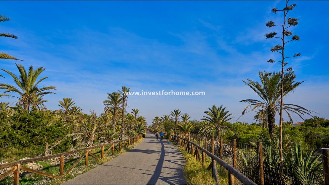Verkoop - Villa - Guardamar del Segura - El Moncayo