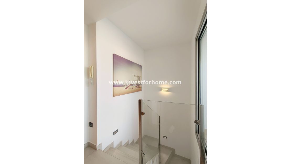 Verkoop - Villa - Guardamar del Segura - El Raso