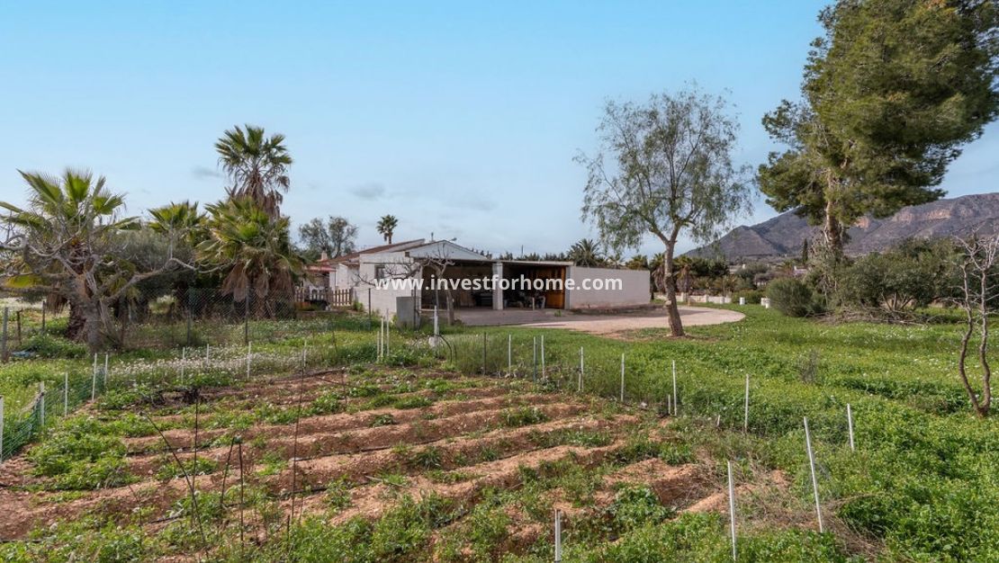 Verkoop - Villa - Hondón de las Nieves - Inland