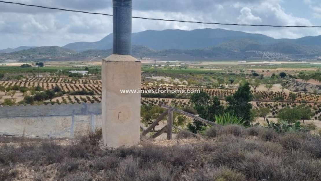 Verkoop - Villa - Hondón de las Nieves - Inland