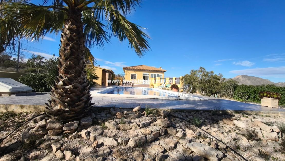 Verkoop - Villa - Hondon de los Frailes - Inland