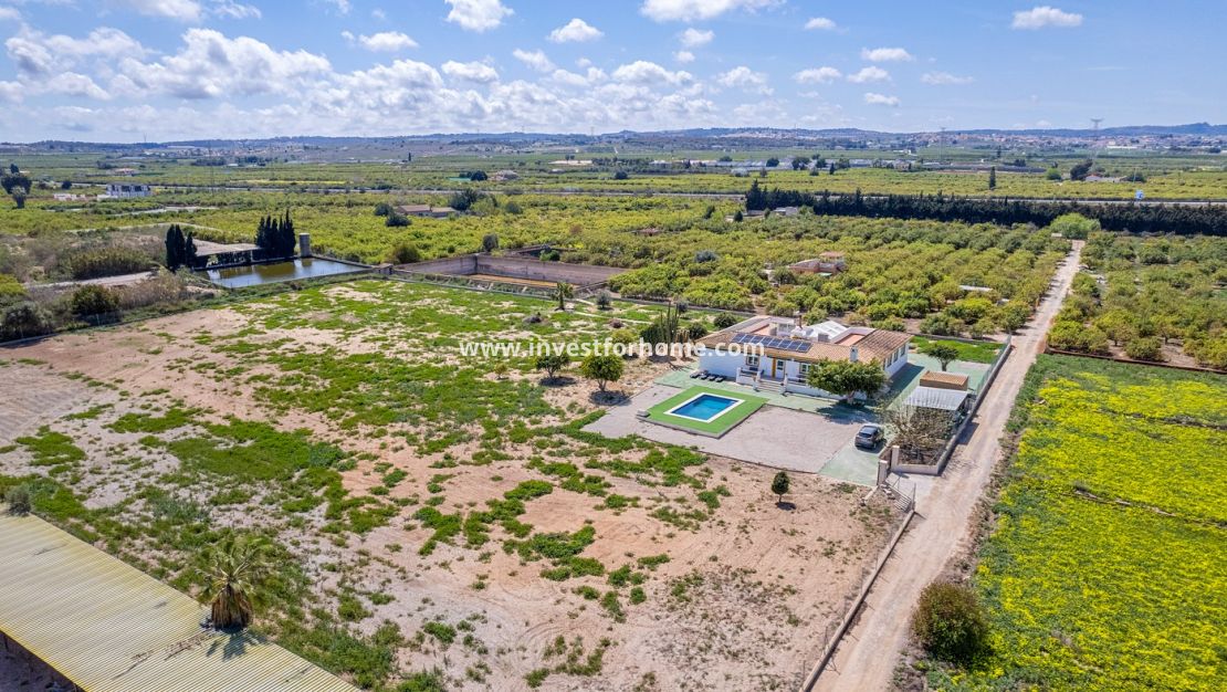 Verkoop - Villa - Los Montesinos - Costa Blanca