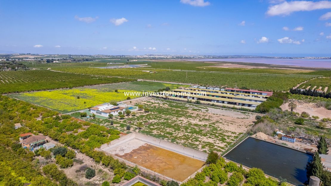 Verkoop - Villa - Los Montesinos - Costa Blanca