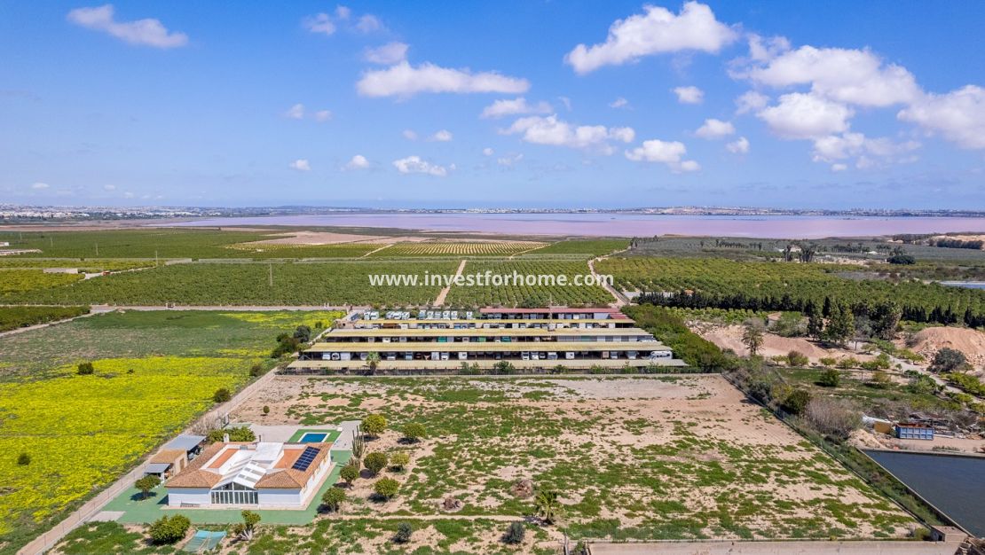 Verkoop - Villa - Los Montesinos - Costa Blanca