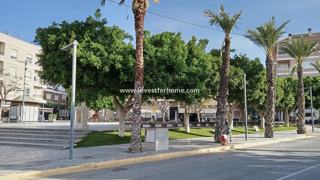 Verkoop - Villa - Los Montesinos - PUEBLO CENTRO