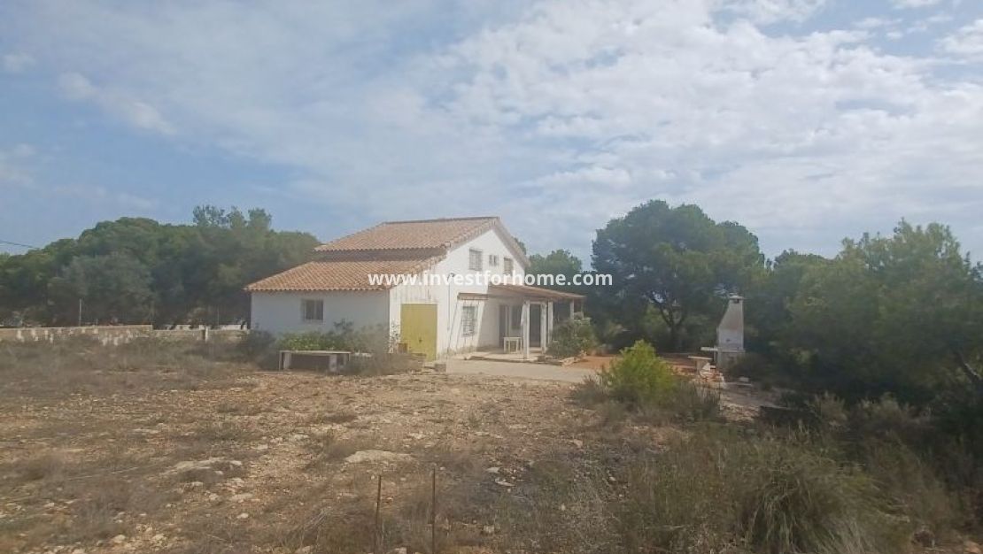 Verkoop - Villa - Orihuela Costa - Costa Blanca